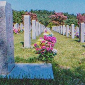 A Year after Son’s Death, Woman Sees Grave of Her Daughter-In-Law at the Cemetery – Story of the Day